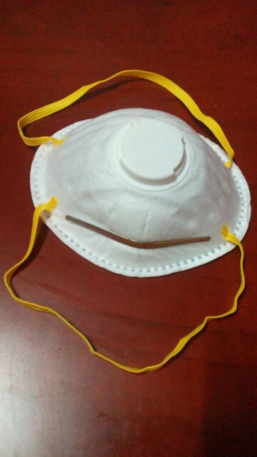 Dust Mask N95 Shopee Philippines