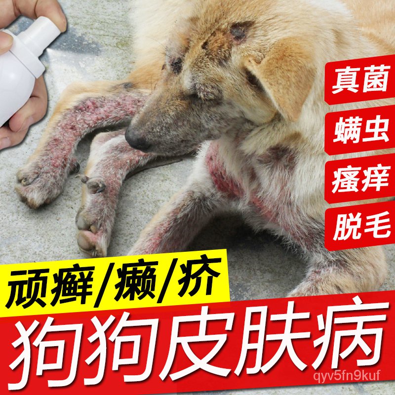 Treatment of Dog Skin Disease Special Purpose Chemicals Mite Eczema  Dermatitis Hair Removal Body Rin | Shopee Philippines