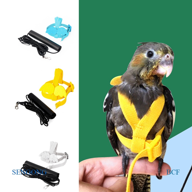 Sengong Bird Leash, Pet Parrot Bird Harness And Leash Flying Rope