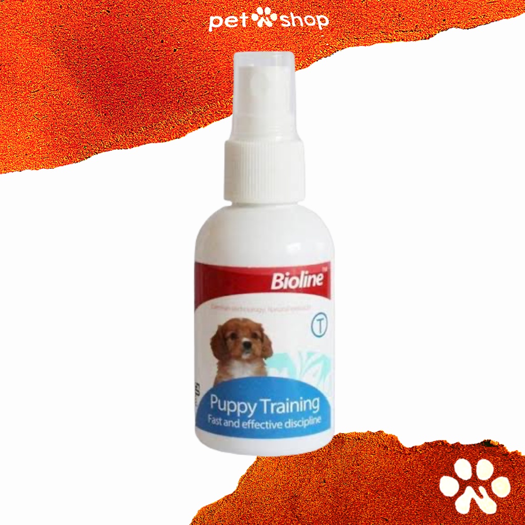Are You A Spray Bottle Dog Trainer