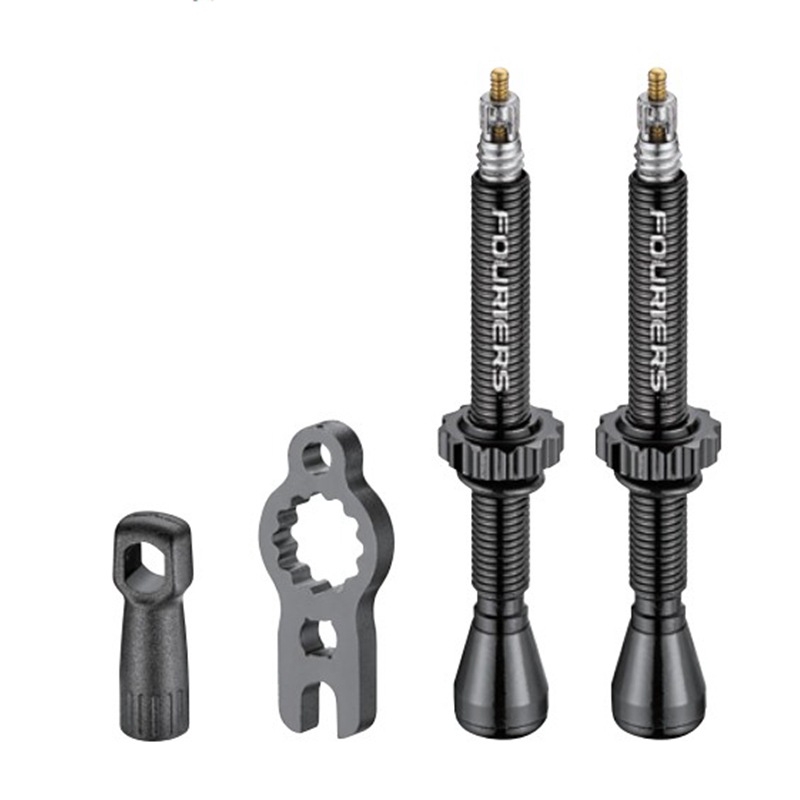 schrader tubeless valve