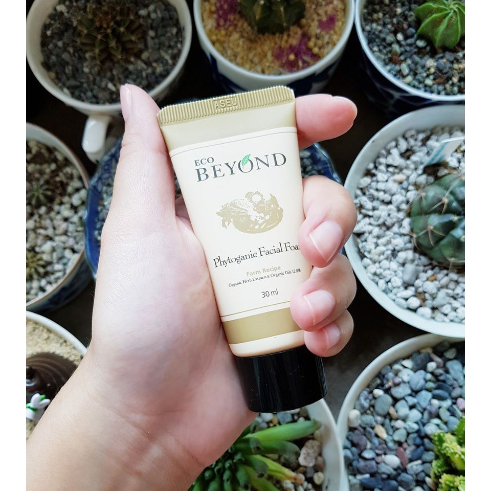 beyond phytoganic facial foam