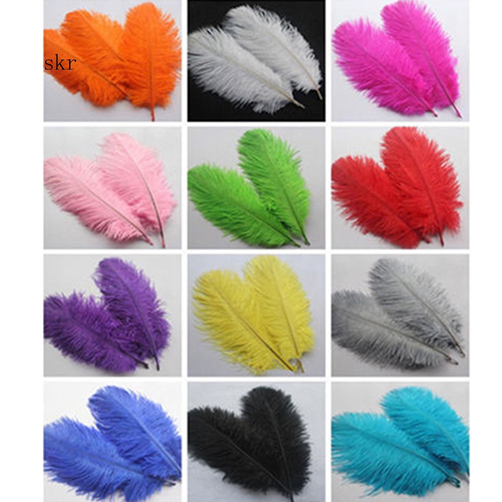 colored ostrich feathers