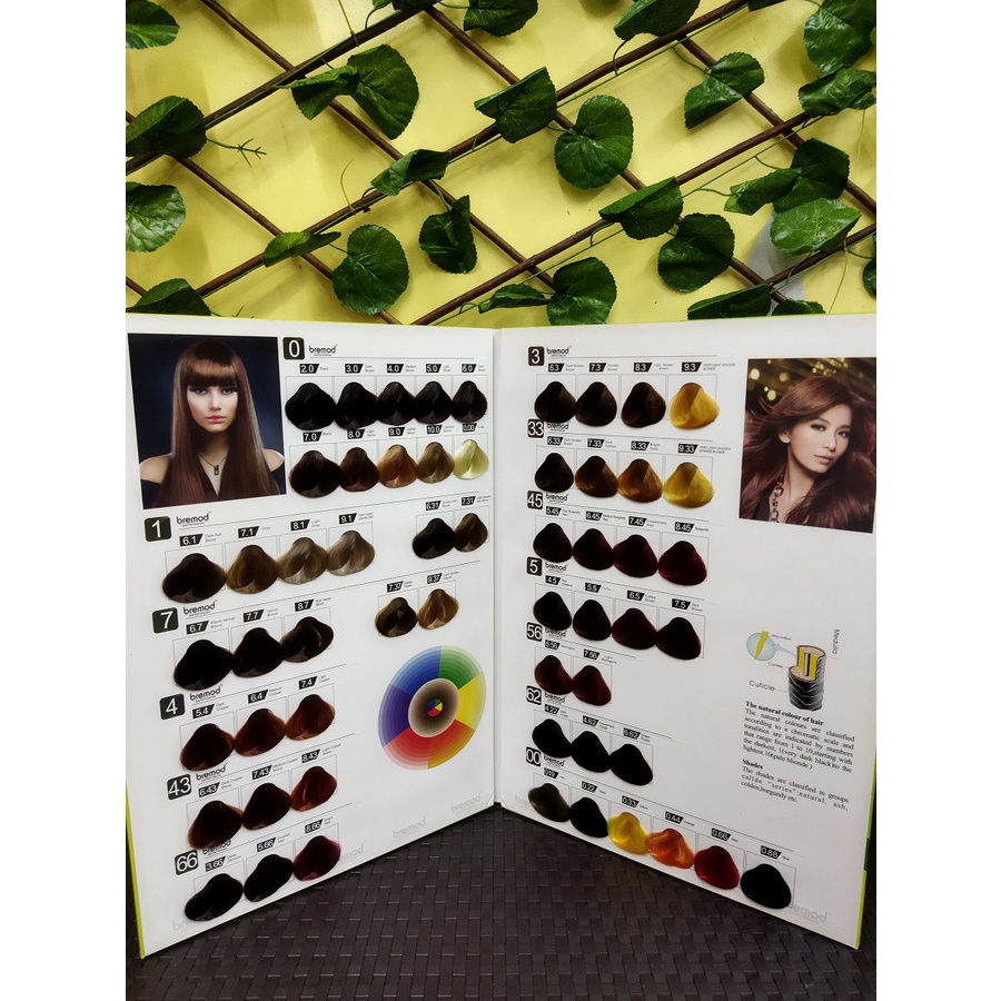 Bremod Colisi Hair Color Chart Updated and Complete Colors 2021 presyo ₱180