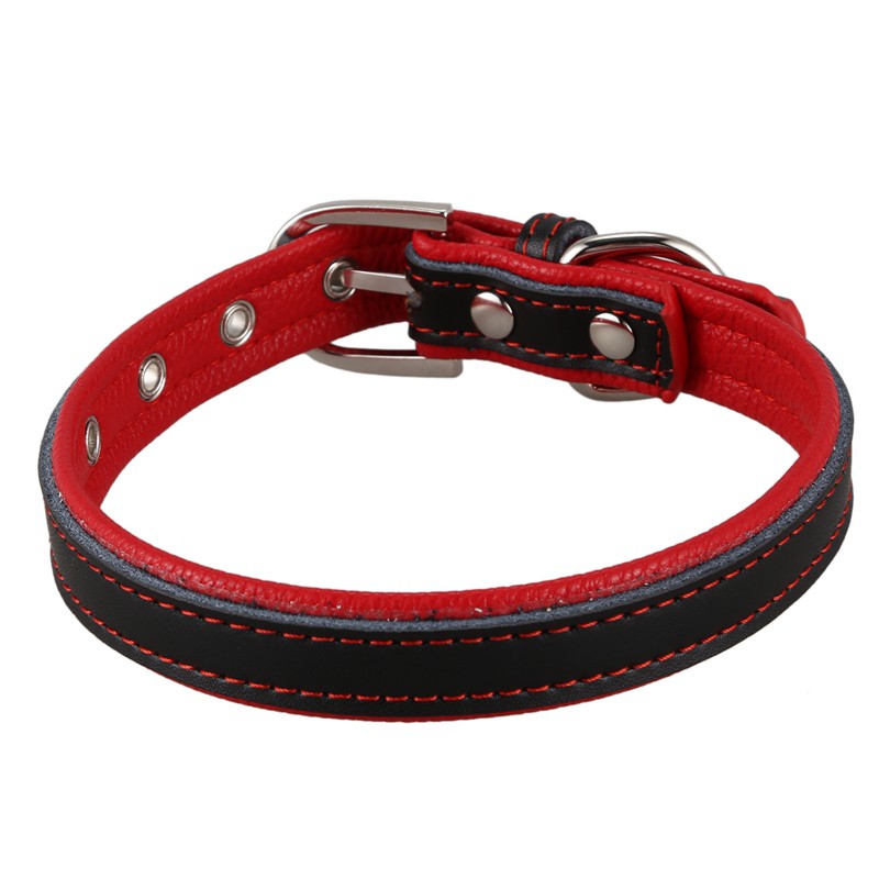 red leather dog collar