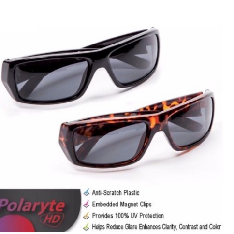 polaryte hd sunglasses philippines