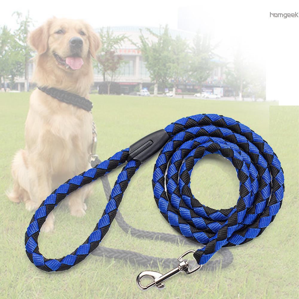 long dog leash for outside