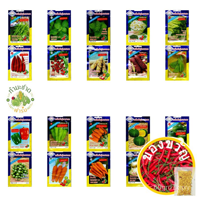 Plump Seeds 1 Send Kerry Pack Of 5 Sachets ... 3A About 500 Korean Green Sesame Leaves/Three A Brand Vegetable Me