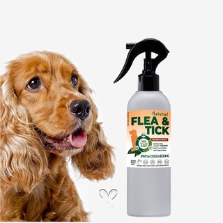 Eco Natural Flea and Tick Spray for Dog and Cat Anti Tick (Garapata) Flea (Pulgas) & Lice (Kuto)