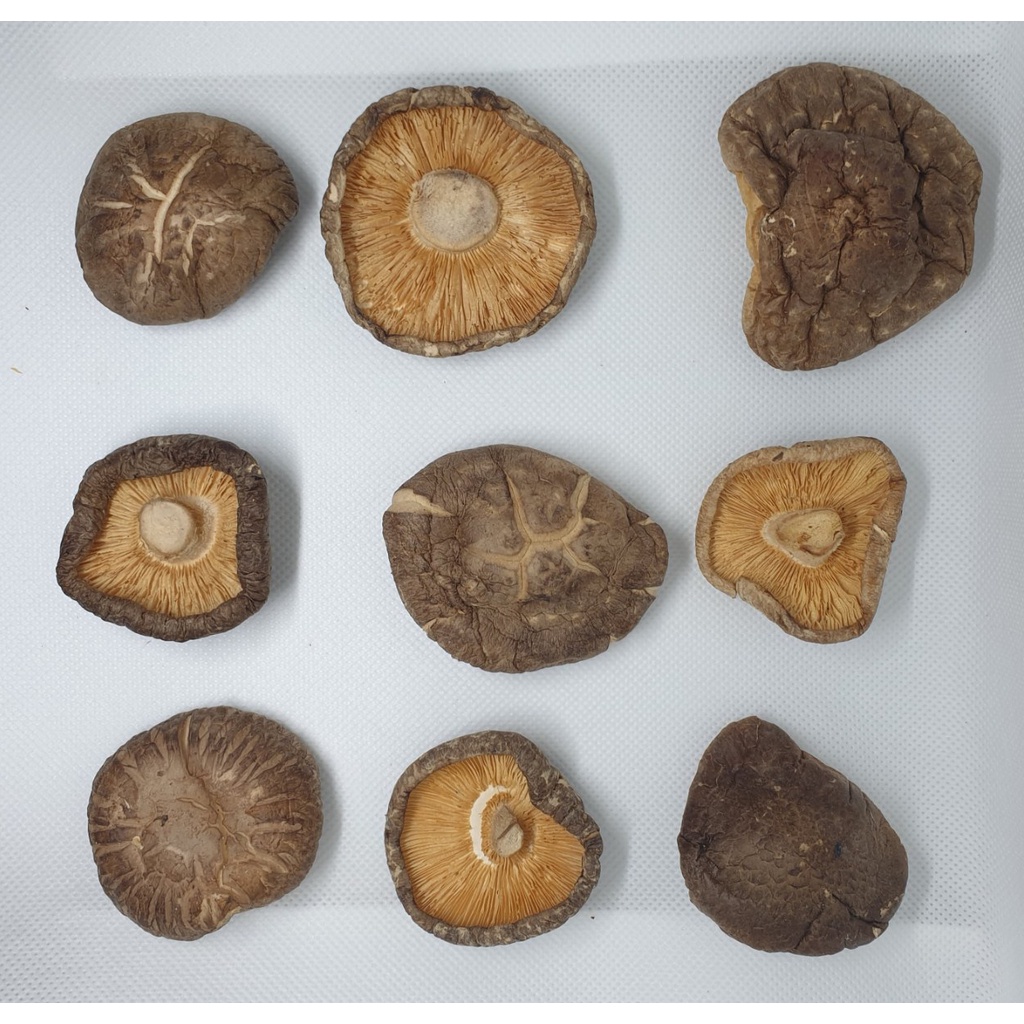 Premium Dried Shiitake Mushroom w/o Stem 100g Shopee Philippines