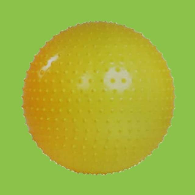 Gym Ball 65 cm Shopee Philippines
