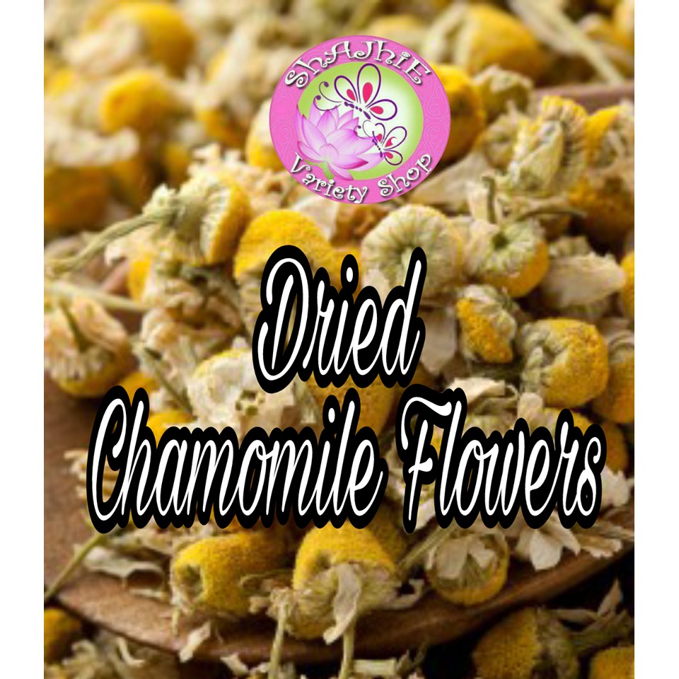 How To Dry Chamomile Flowers In The Oven Best Flower Site