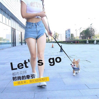 【Pet Leash Dog Harness 】 Dog rope+chest back] puppy traction rope pet traction rope teddy Bumei VIP small dog dog chain