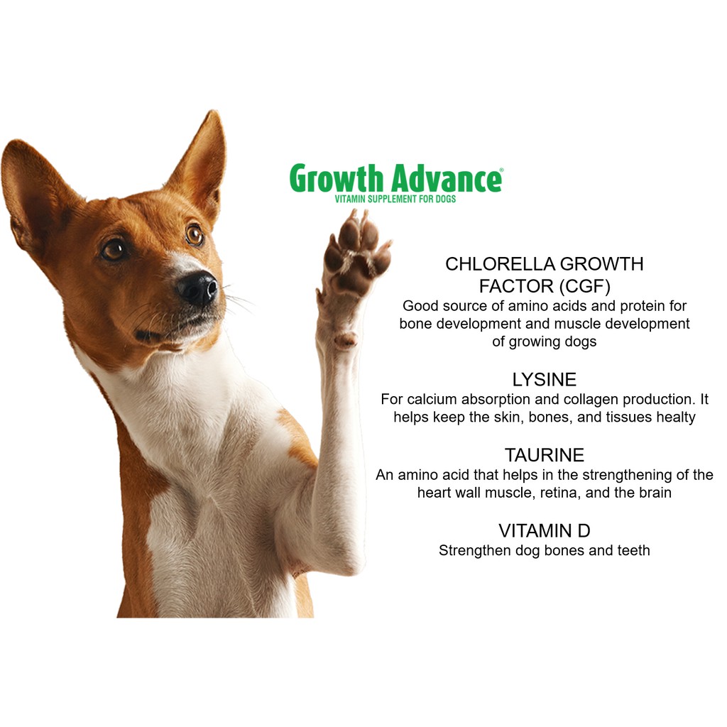 What Is Vitamin A Good For In Dogs