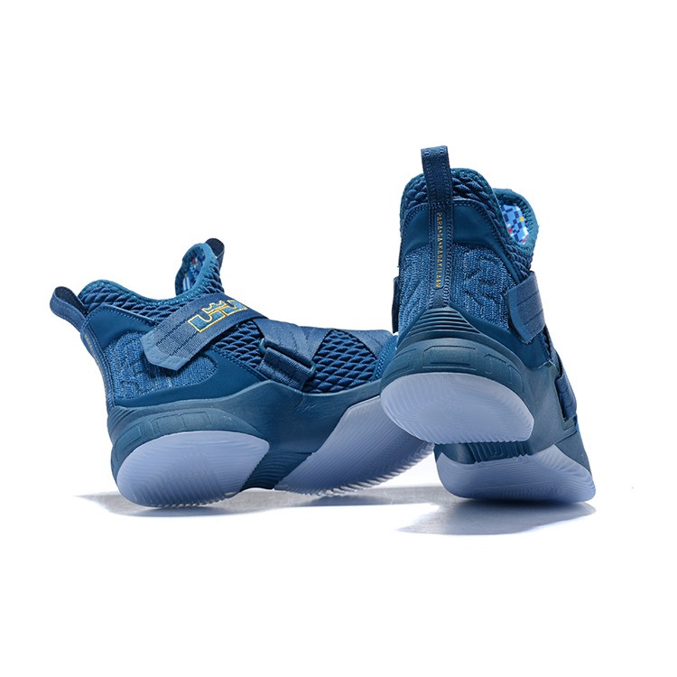 lebron james shoes blue