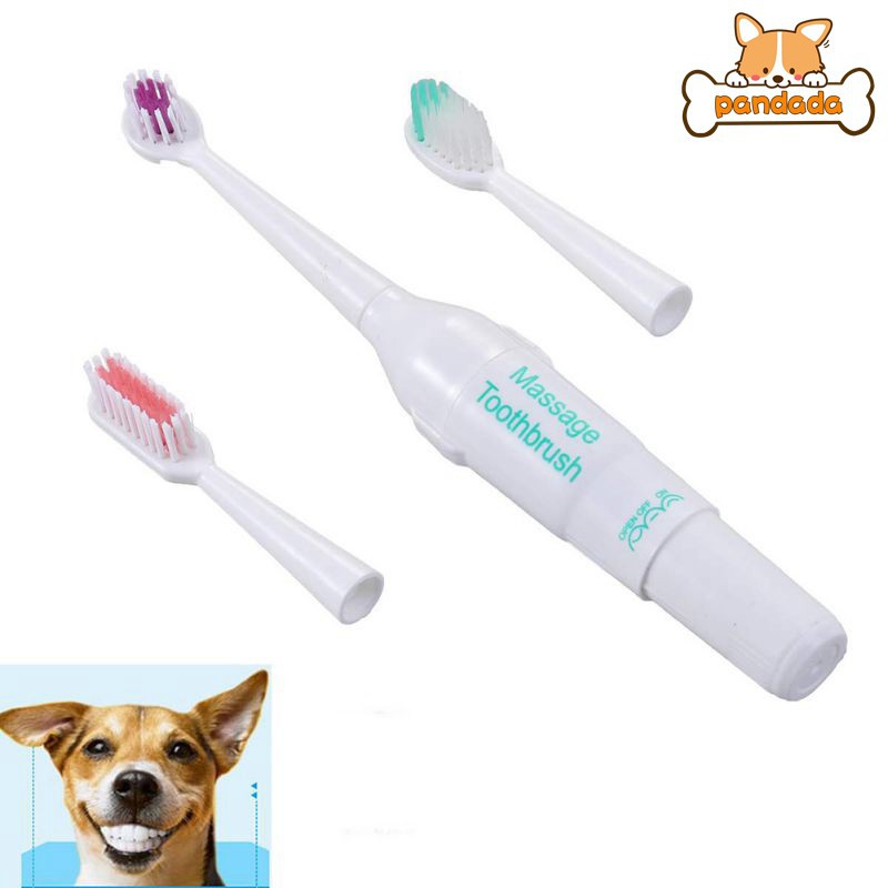 electric toothbrush for dogs