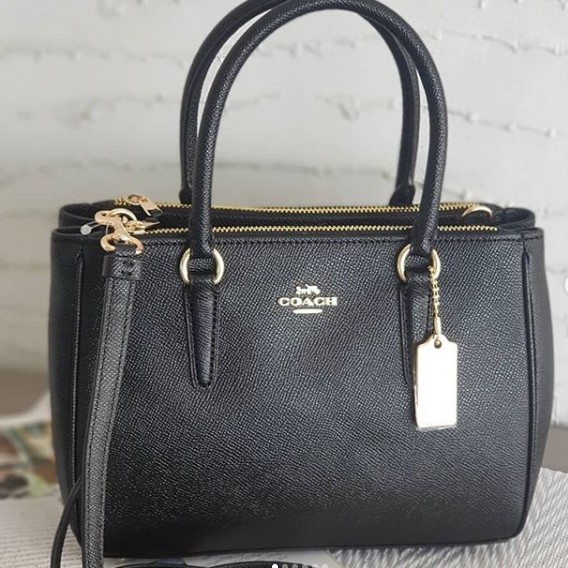 mini surrey carryall coach