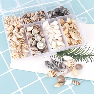 FHPH belle About 100Pcs/Box Natural Conch Shells Aquarium Landscape