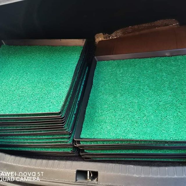 Foot Bath Disinfectant With Hard Plastic Tray... Shopee Philippines