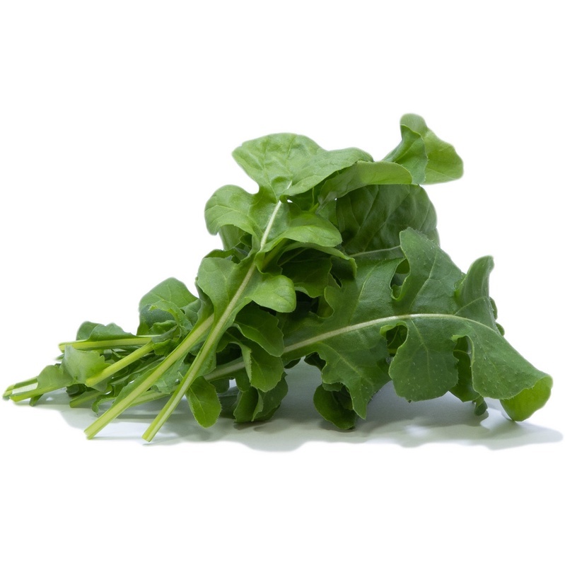 Arugula Noncoated Seeds Rocket Leafy Greens Shopee Philippines