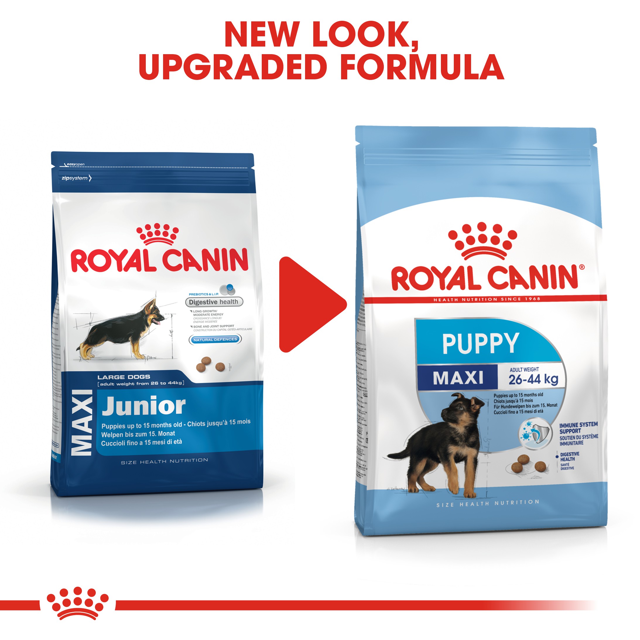 royal canin maxi junior 15kg 3kg free