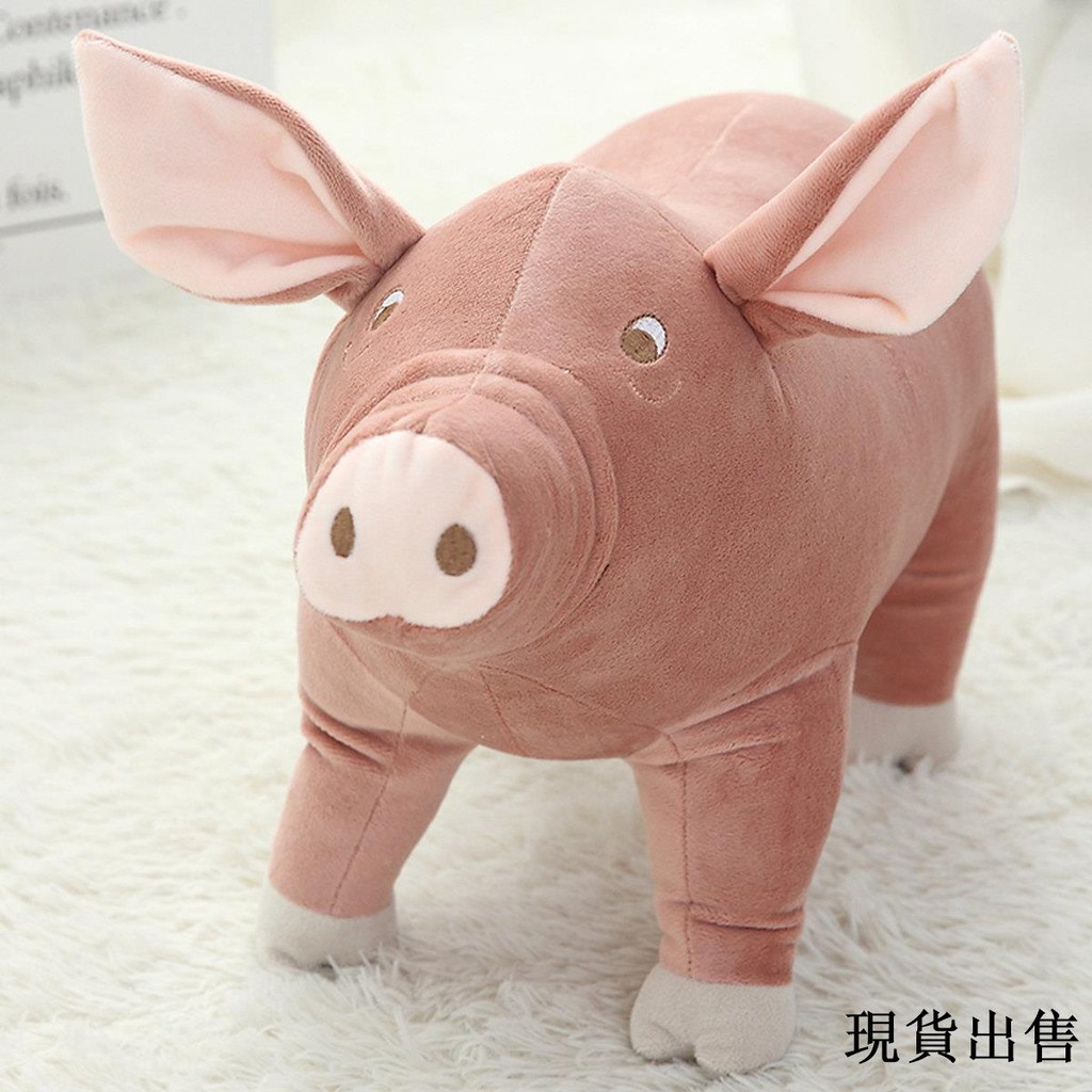 doll pig