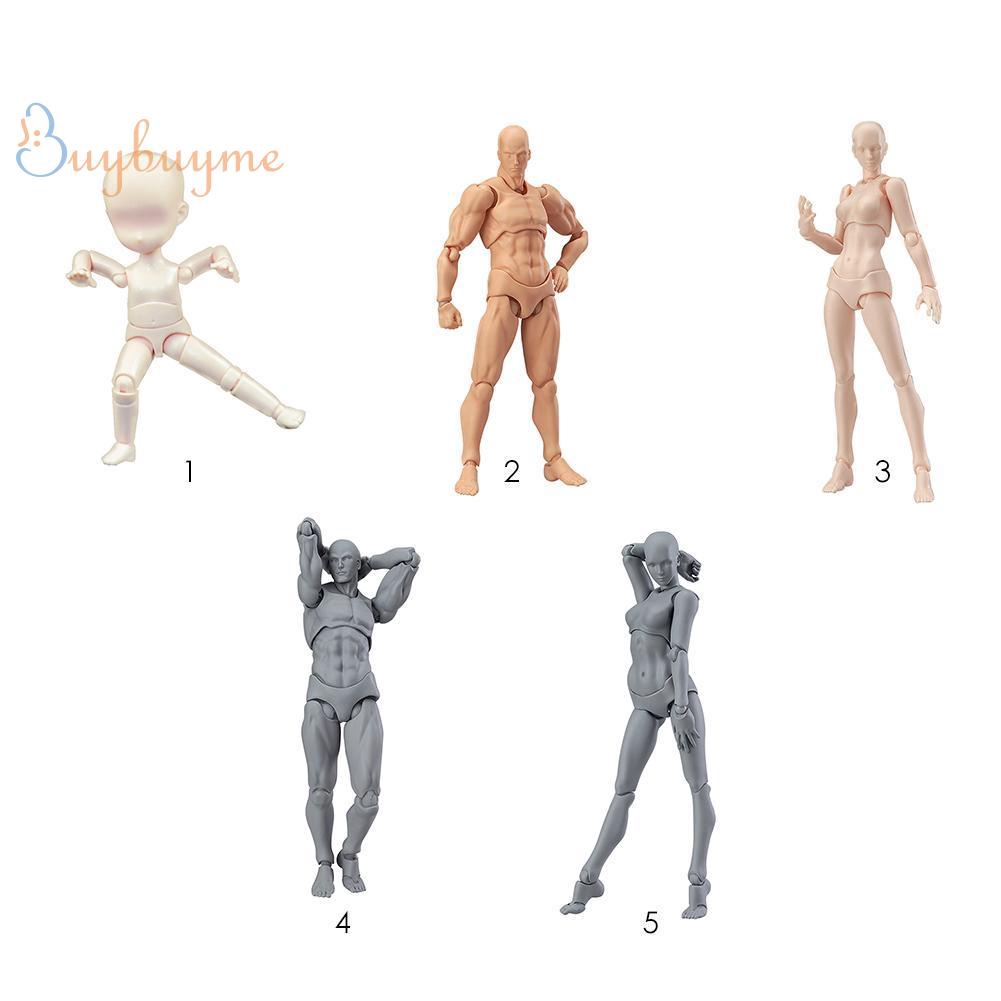 In Stock Pvc Body Kun Doll Male Female Flexible Action Figure Model Archetype For Painting Drawing Sketch Anime Shopee Philippines