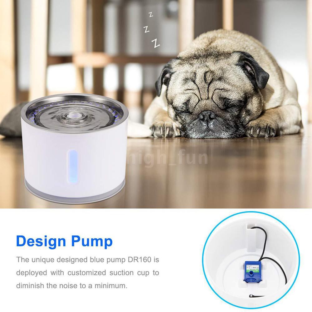 dog it design water fountain