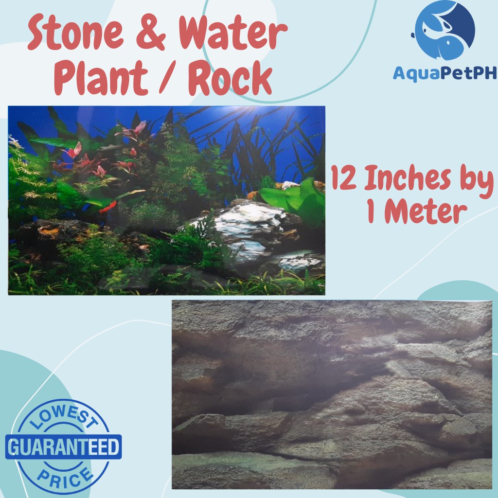 ▲#2 Colorful Aquarium Background Wallpaper 12 / 18 Inches With Back To Back Design - AquaPetPh #1
