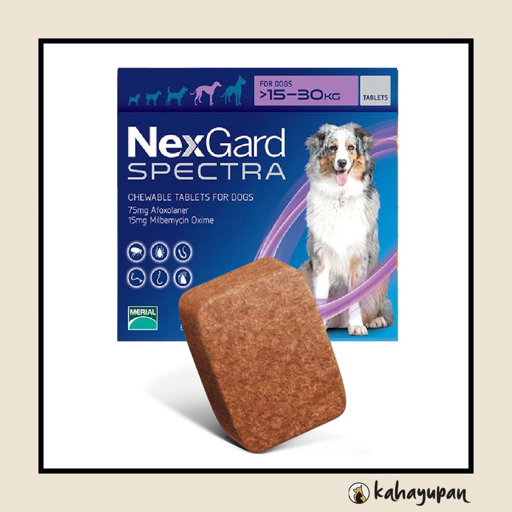 Nexgard Spectra Single Anti Tick Flea And Worms Chewable For Large Dogs 15 30kg Shopee Philippines