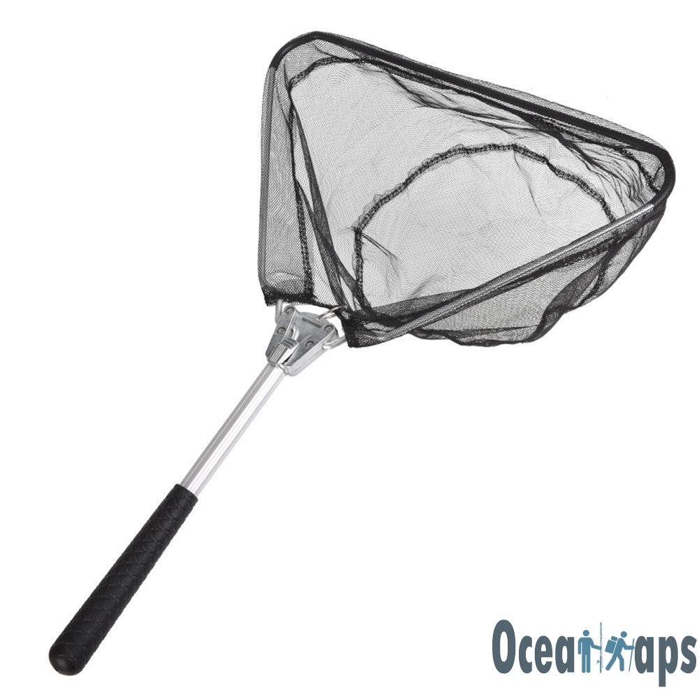 landing net and pole