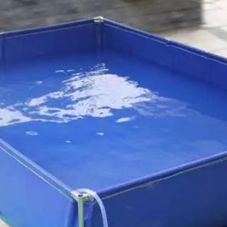 portable swimming pool shop near me