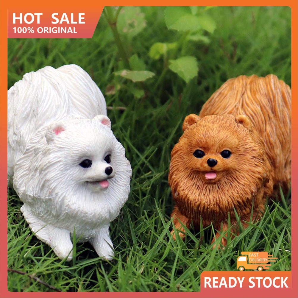 buy toy pomeranian