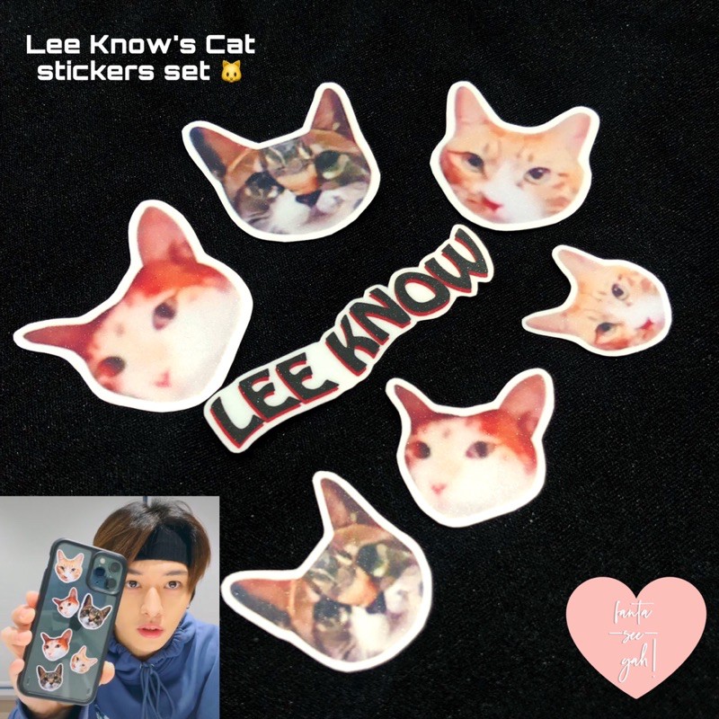 Stray Kids Lee Know's Cat Waterproof Vinyl Stickers | Shopee Philippines
