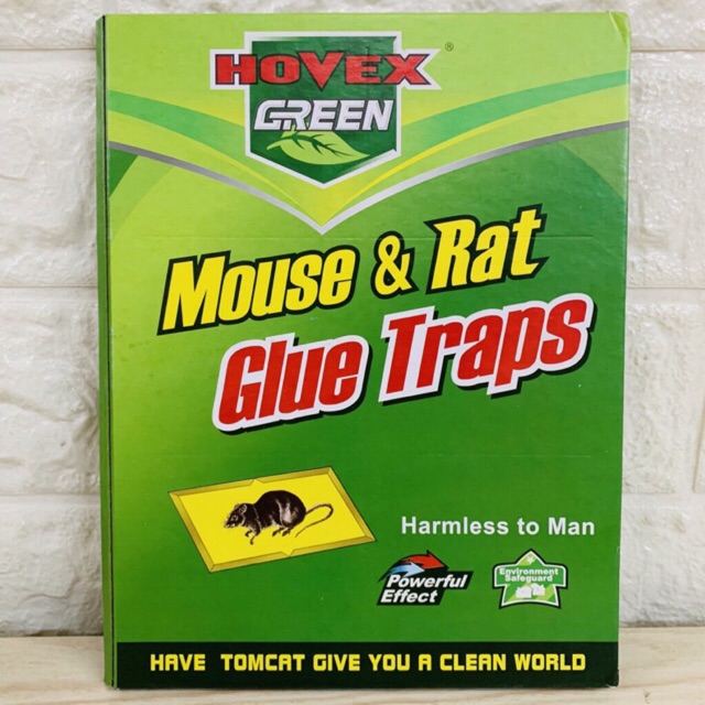 Mouse Rat Glue Traps Book Big Size Shopee Philippines