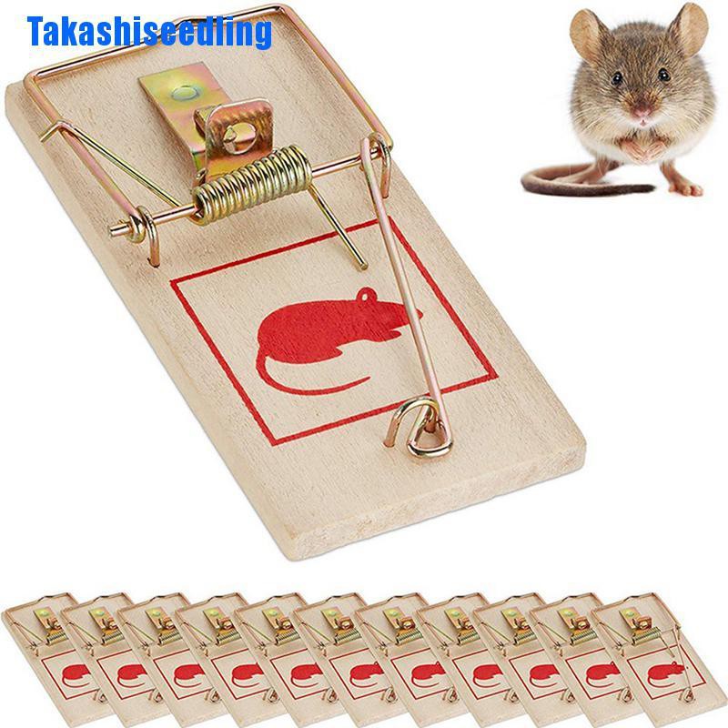 who sells mouse traps