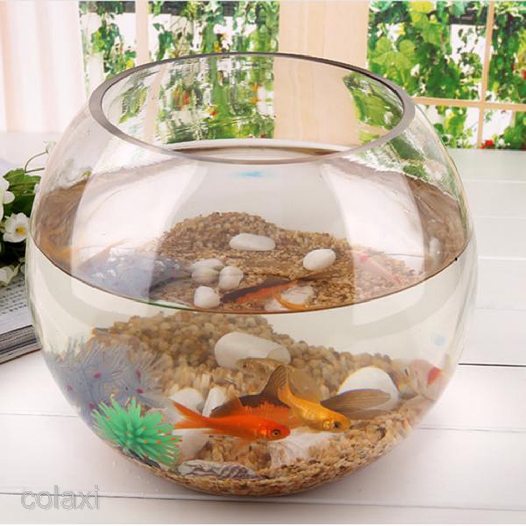 mini bowl aquarium