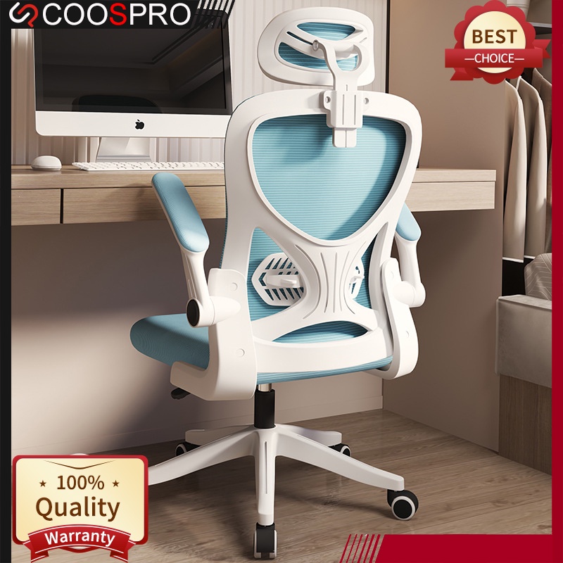 Coospro Office Chair with Arm Rest Computer Chair Ergonomic chair ...