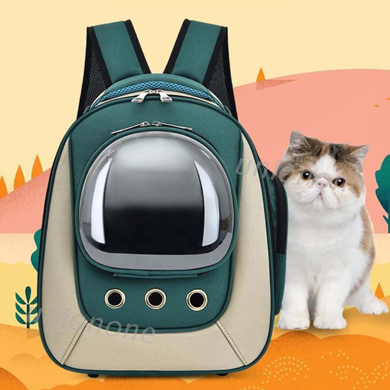 cat backpack bubble window