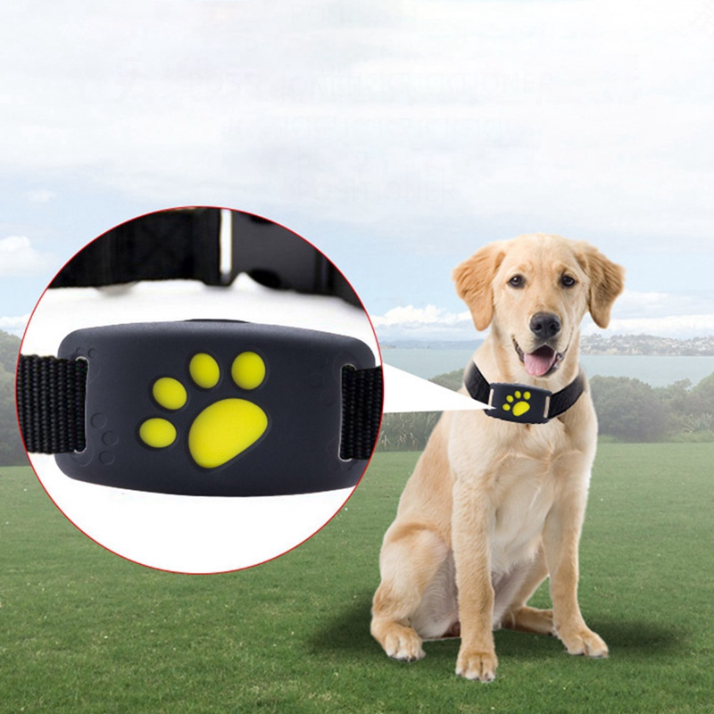 pet dog gps tracker