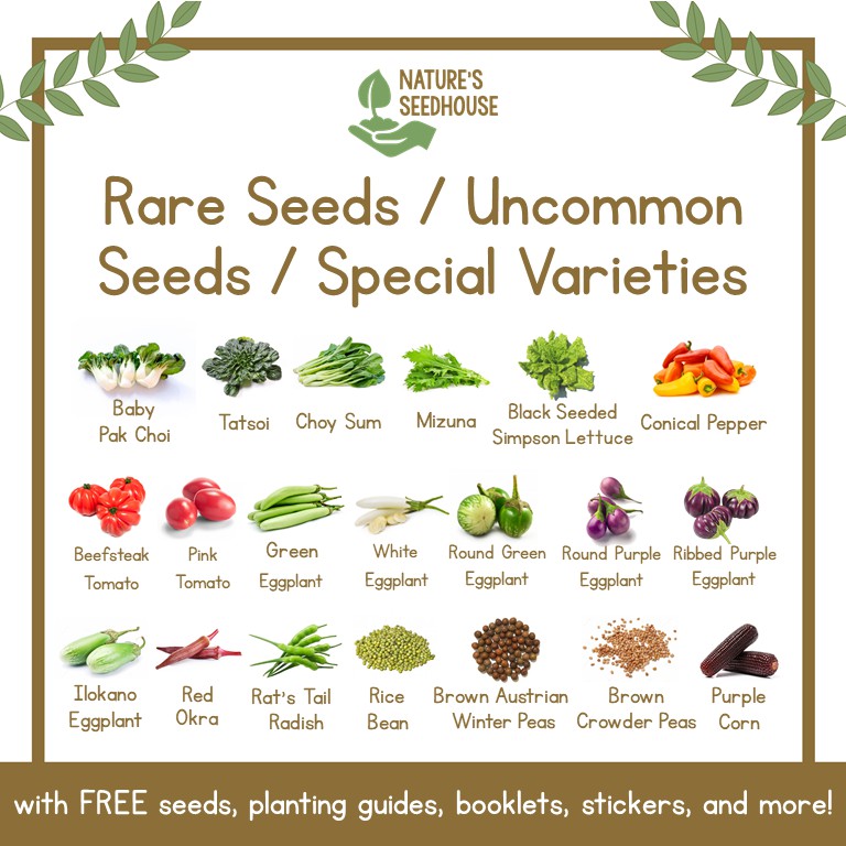 Rare Seeds Collection / Uncommon Seeds / Special Seed Varieties ...