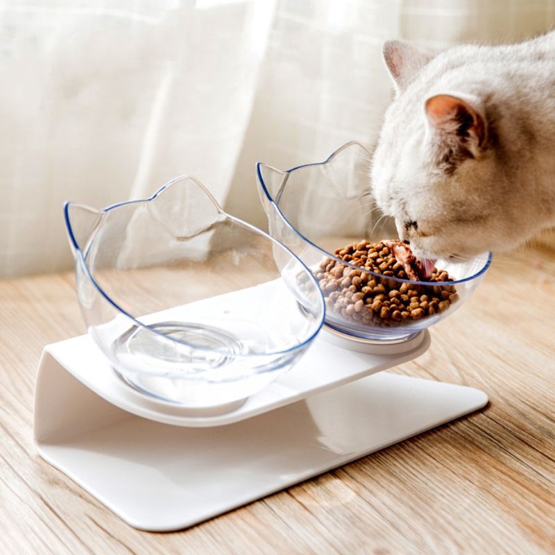dog food and water bowl stand
