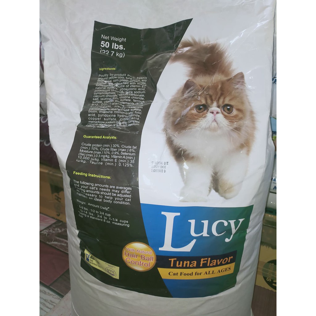 Lucy-cat