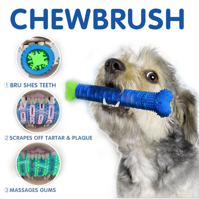 dog chewing toothbrush