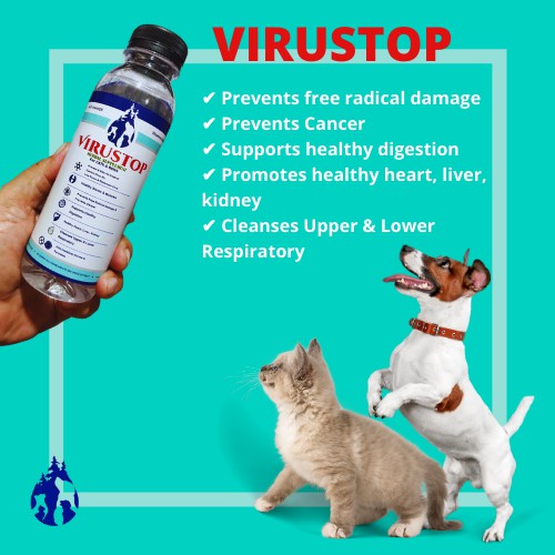 VIRUSTOP Herbal Supplement For Dog And Cat Against Parvovirus ...