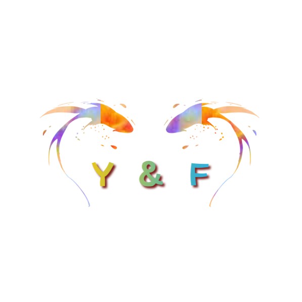 Y&F Fashion store logo