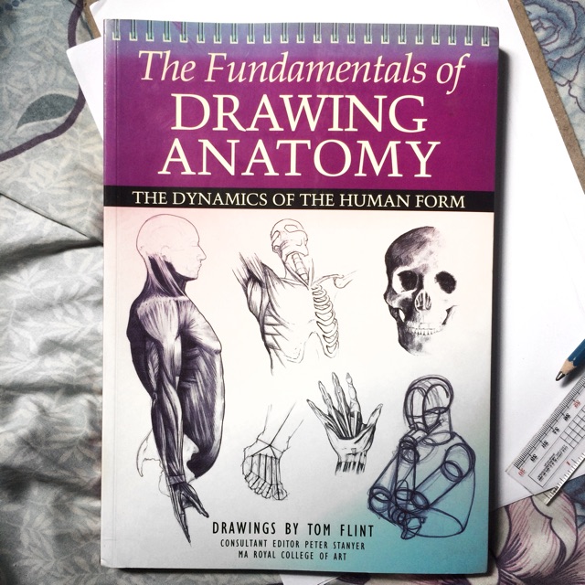 The Fundamentals Of Drawing Anatomy Shopee Philippines