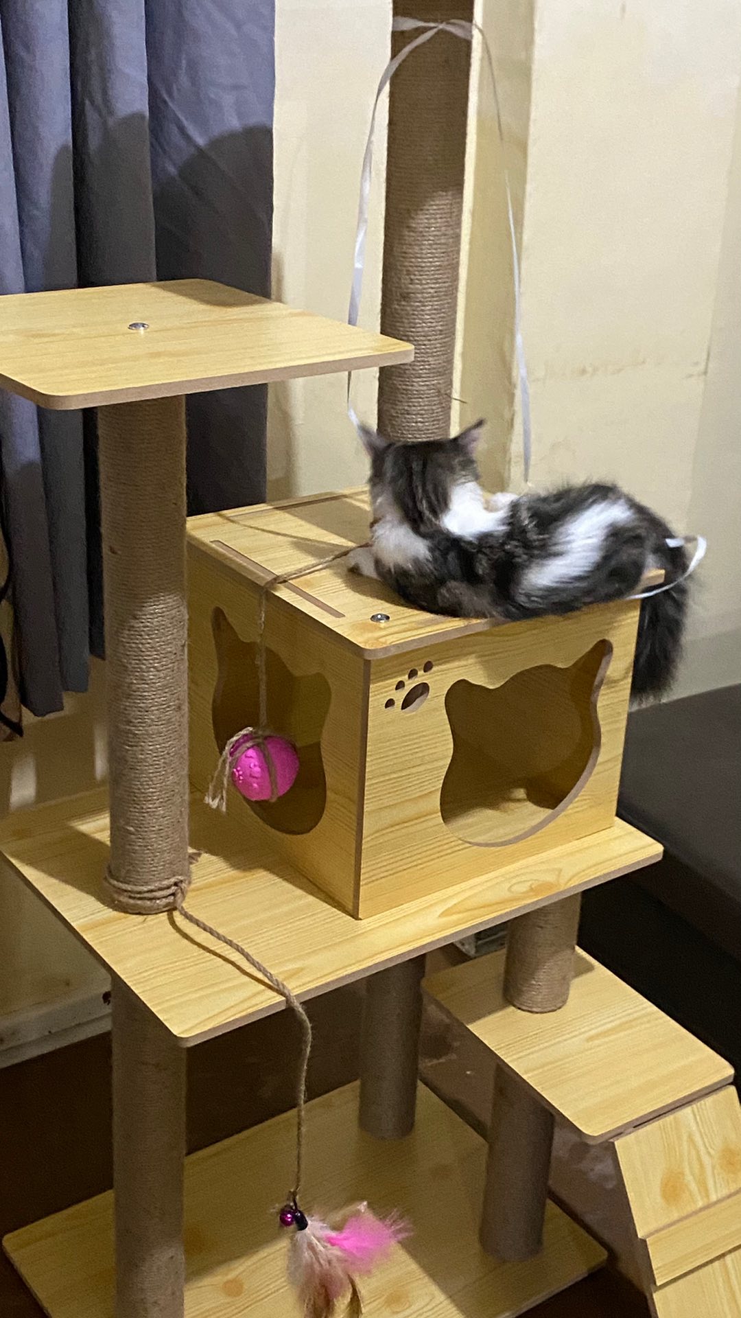 Big Tall Luxury Cat Climbing Tree Cat Tree Cat Condo Shopee Philippines