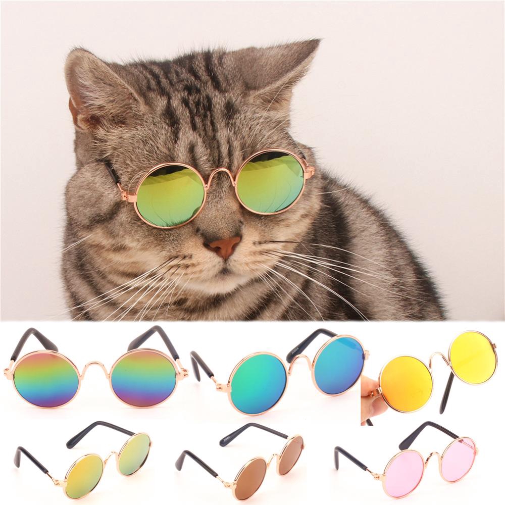 cute dog sunglasses