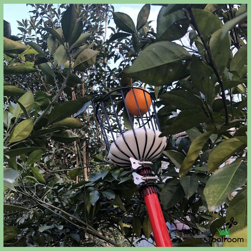 Toolroom Iron Fruit Picker Tool Fruits Picking Head Grabber for Oranges Getting Fruit